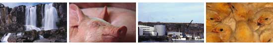 haus-5.jpg